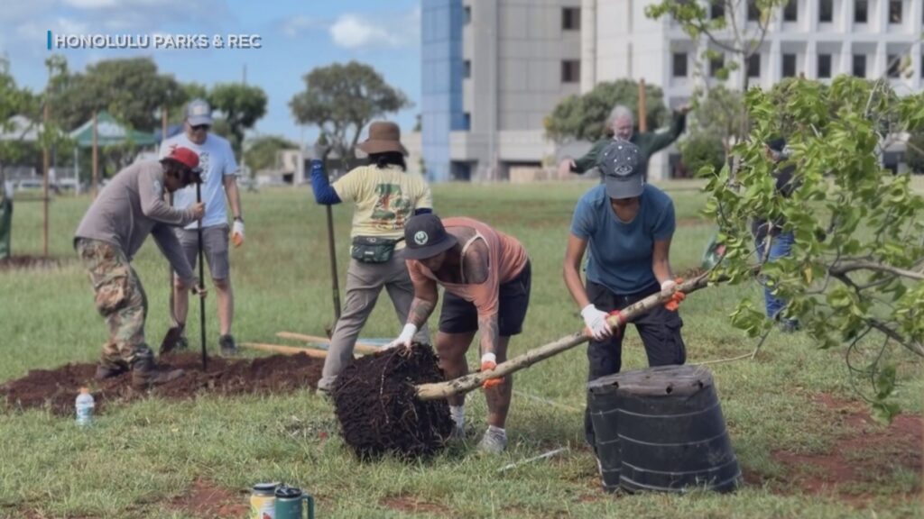 Tree planting marks first step in Aiea park revitalization